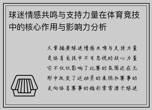 球迷情感共鸣与支持力量在体育竞技中的核心作用与影响力分析