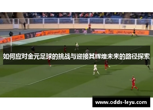 如何应对金元足球的挑战与迎接其辉煌未来的路径探索