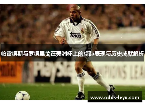 帕雷德斯与罗德里戈在美洲杯上的卓越表现与历史成就解析