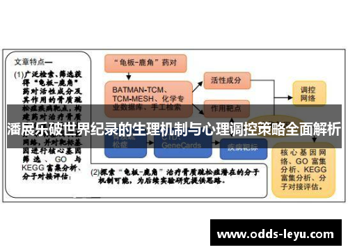 潘展乐破世界纪录的生理机制与心理调控策略全面解析