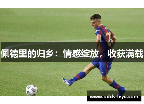 佩德里的归乡：情感绽放，收获满载