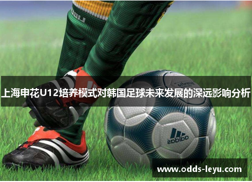 上海申花U12培养模式对韩国足球未来发展的深远影响分析