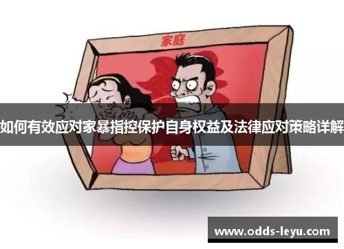 如何有效应对家暴指控保护自身权益及法律应对策略详解