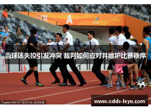 当球迷失控引发冲突 裁判如何应对并维护比赛秩序