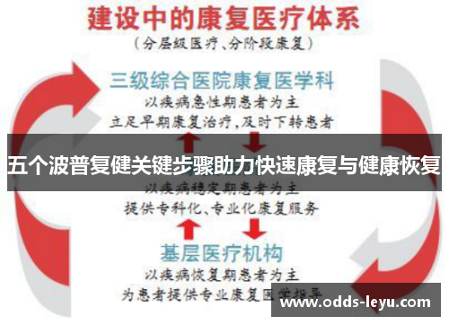 五个波普复健关键步骤助力快速康复与健康恢复