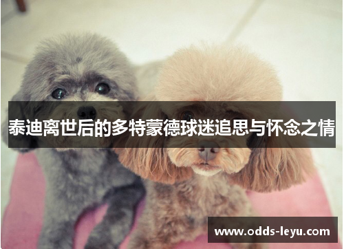泰迪离世后的多特蒙德球迷追思与怀念之情