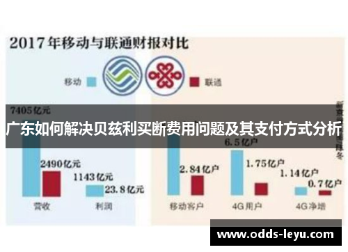 广东如何解决贝兹利买断费用问题及其支付方式分析