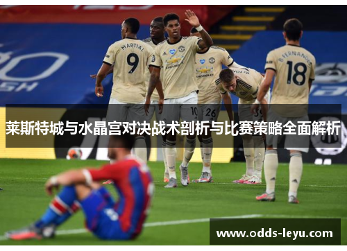 莱斯特城与水晶宫对决战术剖析与比赛策略全面解析