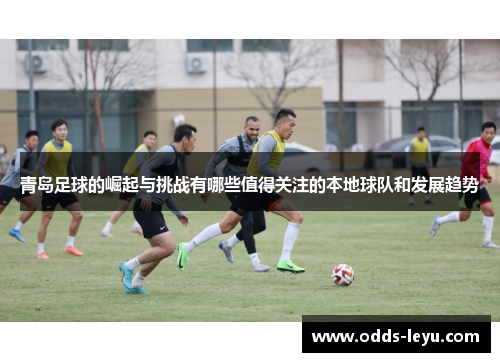 青岛足球的崛起与挑战有哪些值得关注的本地球队和发展趋势