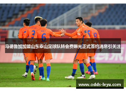 马德鲁加加盟山东泰山足球队转会费曝光正式签约消息引关注