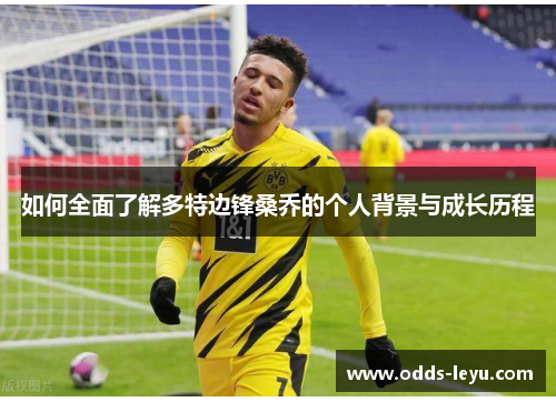 如何全面了解多特边锋桑乔的个人背景与成长历程