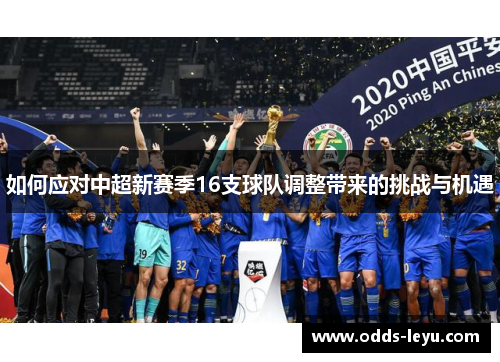 如何应对中超新赛季16支球队调整带来的挑战与机遇