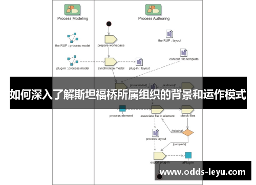 如何深入了解斯坦福桥所属组织的背景和运作模式